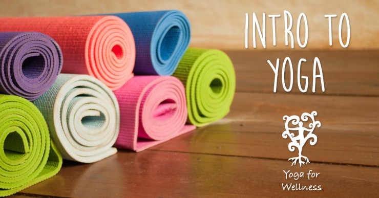 IntroToYoga2