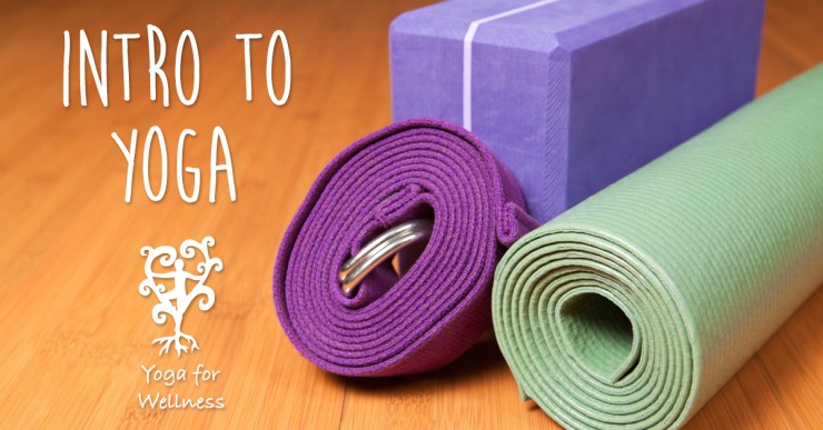 IntroToYogaFB3